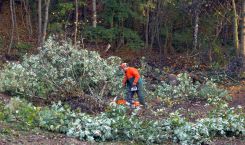Impressionen Wulf Container, Entsorgung und Abbruch Lübeck